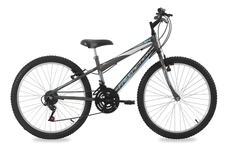 BICICLETA FREE ACTION ARO 24 G